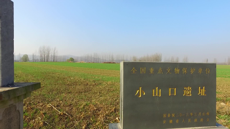 埇桥区积极开展安徽省第八批千年古村落申报工作